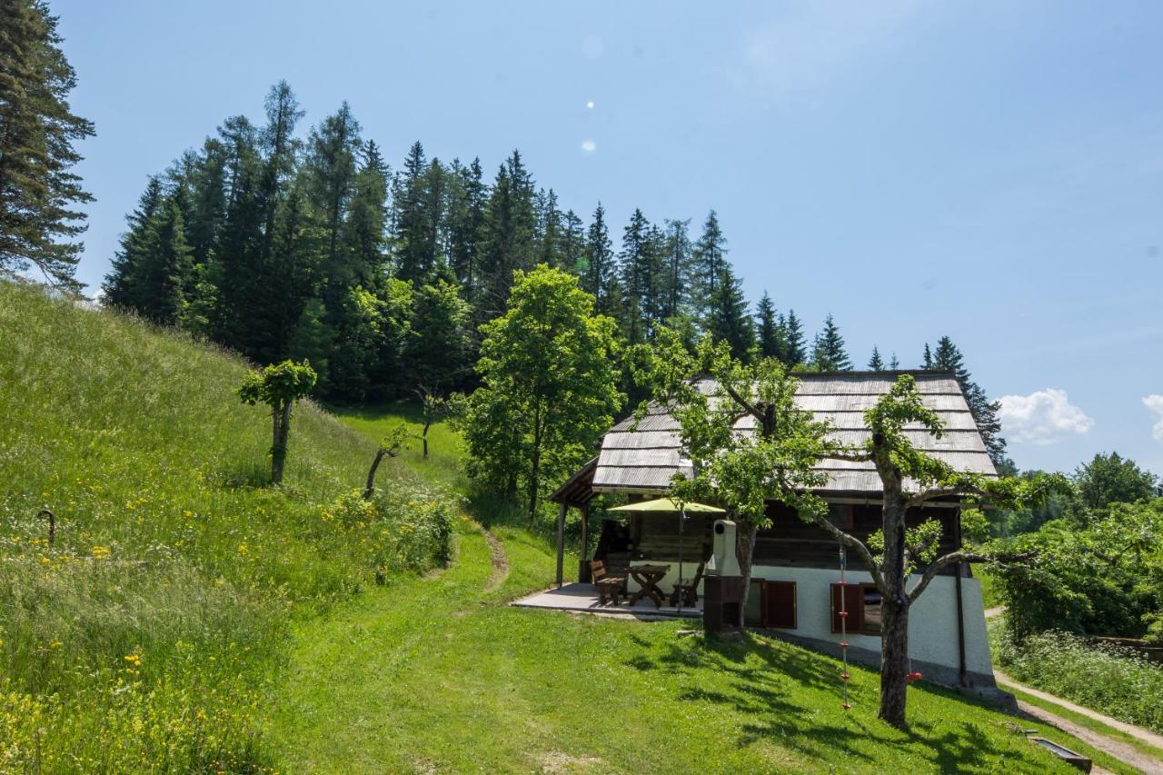 Villa Natur Pur Pikovo Crna na Koroskem Exterior foto